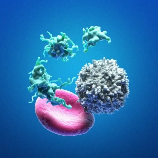 cell 2
